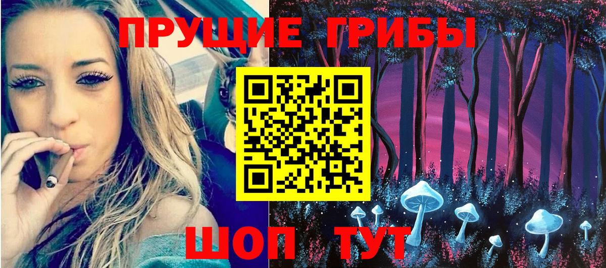 Галлюциногенные грибы прущие грибы Коряжма